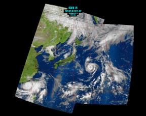 Composite MSA